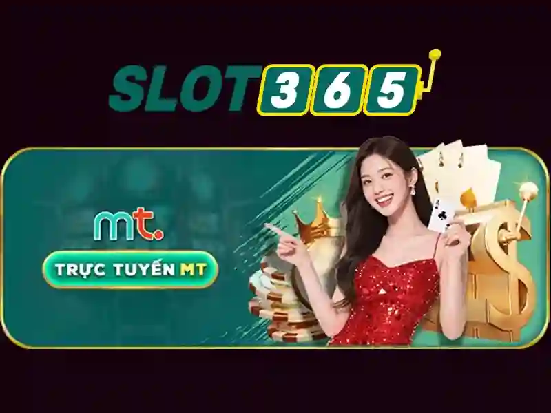Slot365 – Tổng quan về nền tảng cá cược trực tuyến