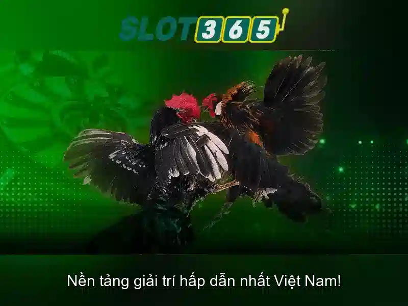 Slot365 - Trải nghiệm chơi game casino trực tuyến đỉnh cao