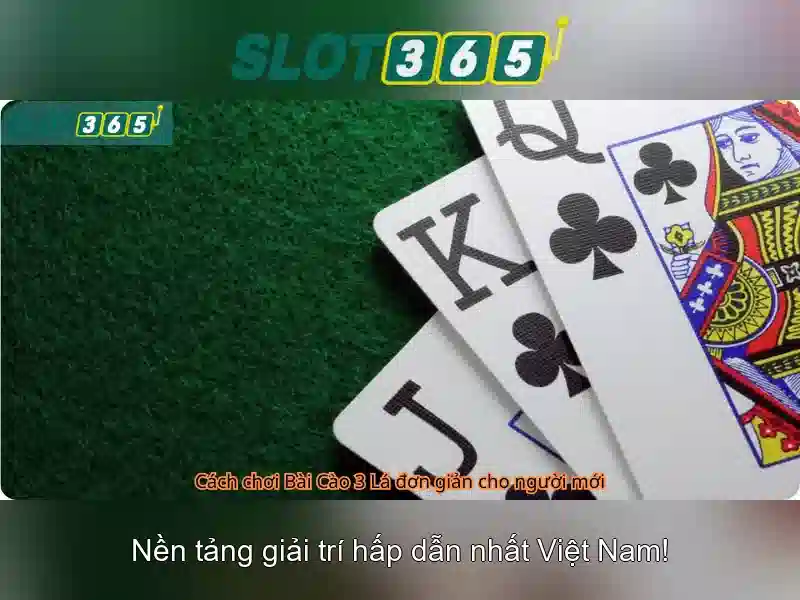 slot365 vn – Nền tảng uy tín và trải nghiệm đỉnh cao