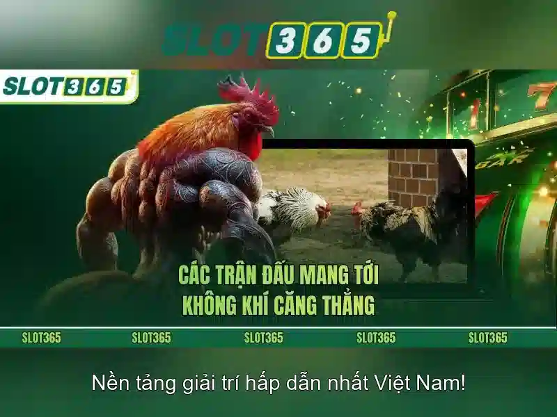 Slot365 - Tổng quan về nền tảng slot trực tuyến uy tín
