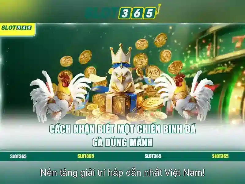 Slot365: Trải nghiệm máy đánh bạc trực tuyến đỉnh cao