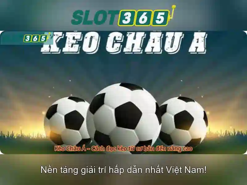 Slot365: Khám phá nền tảng slot trực tuyến và trò chơi xèng
