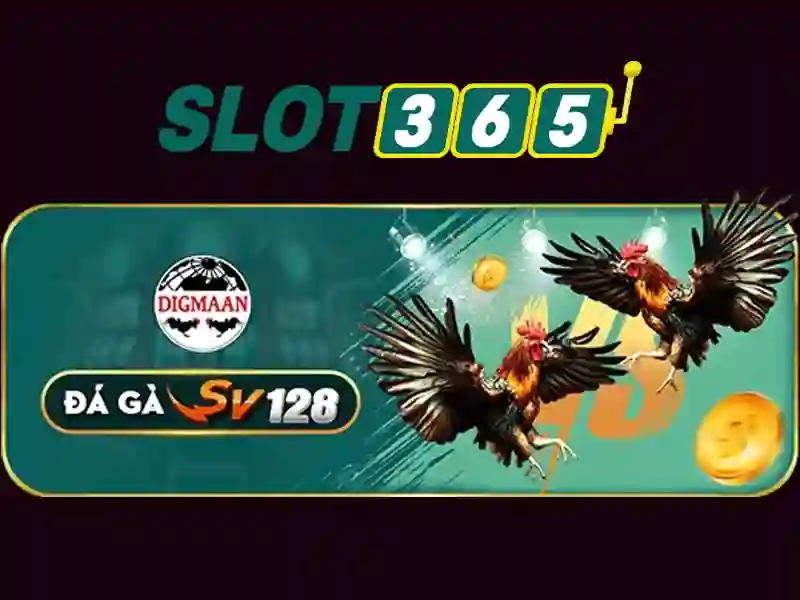 Slot365: Trải nghiệm casino trực tuyến an toàn và giải trí