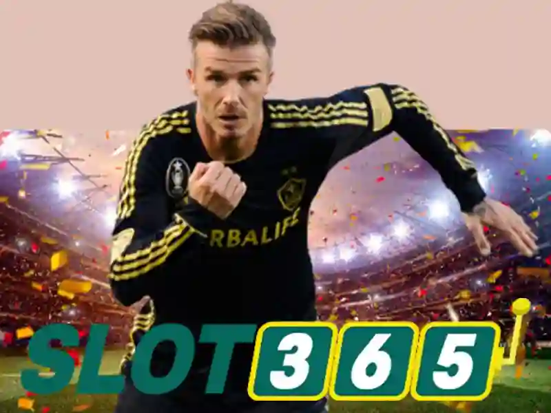 Giao diện Slot365 và bảng điều khiển tài khoản