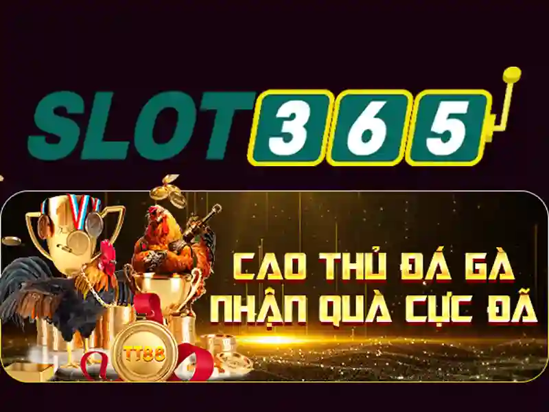 slot365. Trải nghiệm số đỉnh cao và tăng trưởng thương hiệu