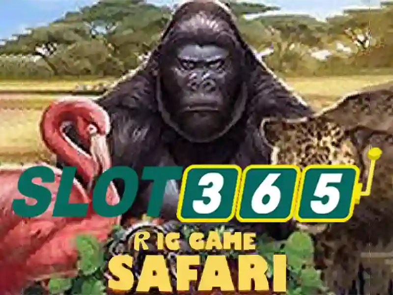 Slot365: Trải nghiệm máy slot trực tuyến đỉnh cao